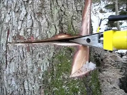 Лучший способ справиться с опасным деревом - гидравлический клин