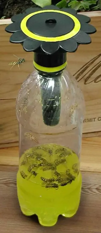 ловушка для пчел из бутылки газировки