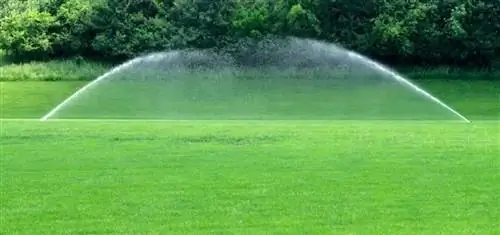 Что нужно сделать, чтобы подготовить газон к весне - полив