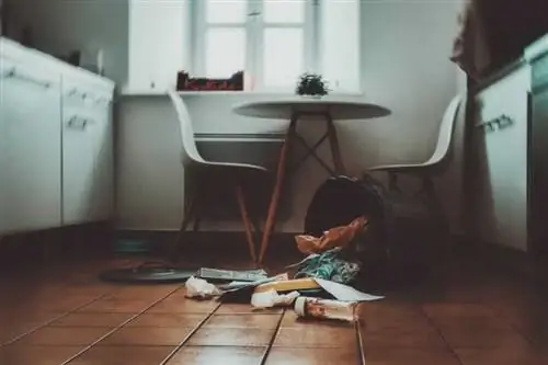 Беспорядок на кухне Беспорядок на кухне