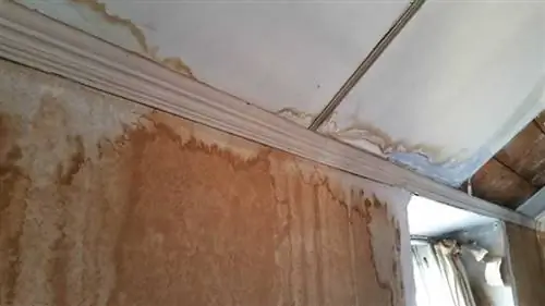 Полезные идеи для домовладельцев по решению проблем, связанных с влажностью - повреждение водой