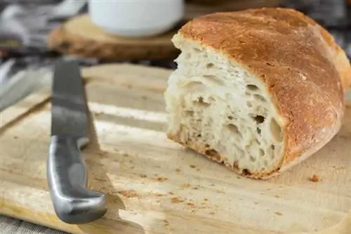 нож для нарезки хлеба