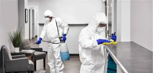 Преимущества найма профессиональной клининговой компании COVID - уборка Преимущества найма профессиональной клининговой компании COVID - уборка