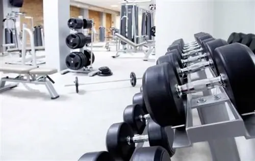 Будущее обшивки стен и потолка - тренажерный зал