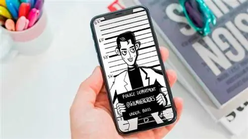 Как TikTok влияет на художников Как TikTok влияет на художников