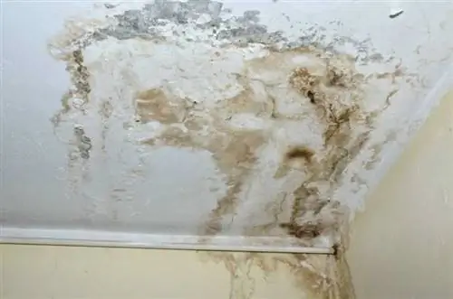 Как обнаружить повреждение воды в вашем доме - ущерб, причиненный водой
