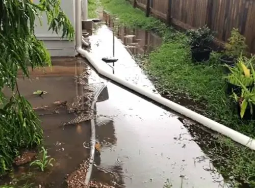 Профессиональные услуги по удалению стоячей воды после ливневой воды Профессиональные услуги по удалению стоячей воды после ливневой воды
