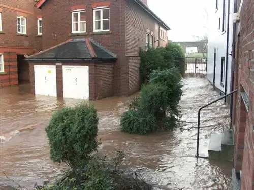 Профессиональные услуги по удалению стоячей воды после урагана