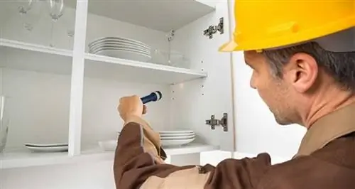 Как обнаружить и избавиться от вредителей в домах в Малайзии