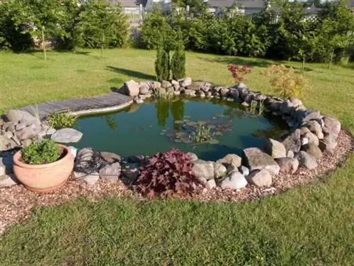 Уход за прудом