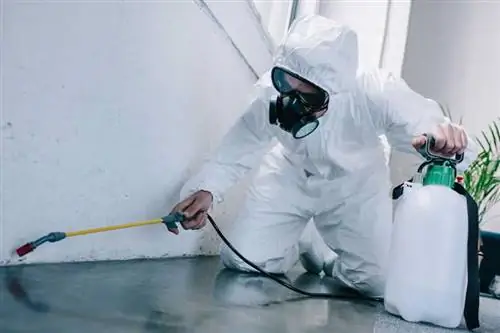 Когда пора принять меры по борьбе с вредителями - опрыскивание