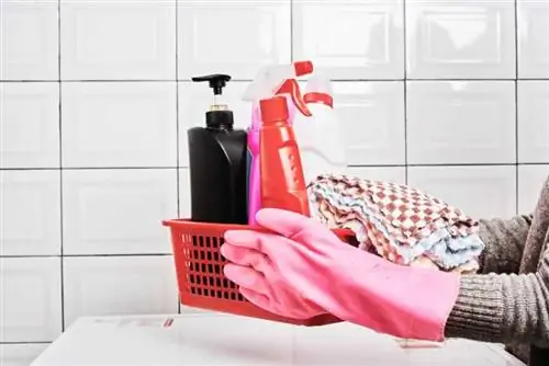 9 чистящих средств, которые нужны каждому дому