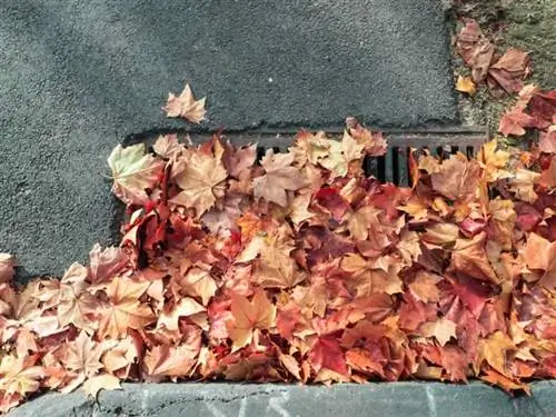 Предотвратите засорение ливневой канализации