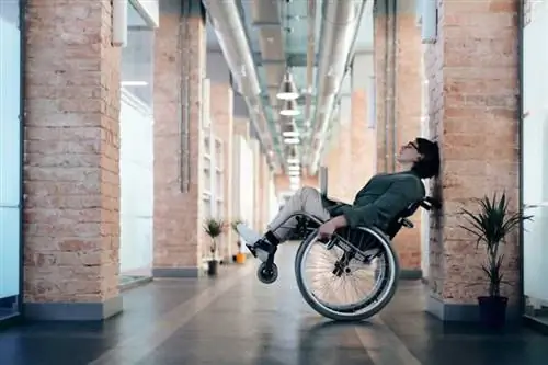 Как оставаться комфортным и счастливым, несмотря на инвалидность - инвалидная коляска