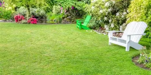 Как отремонтировать газон как профессионал