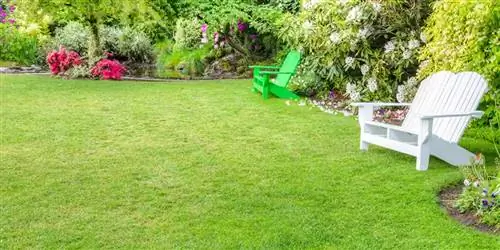 Как профессионально отремонтировать газон