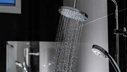 Руководство по покупке лучшего душа - тропический душ