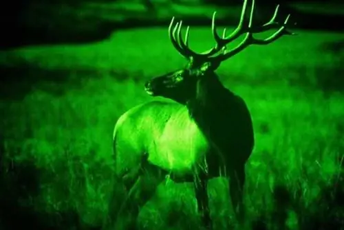 Что такое прибор ночного видения