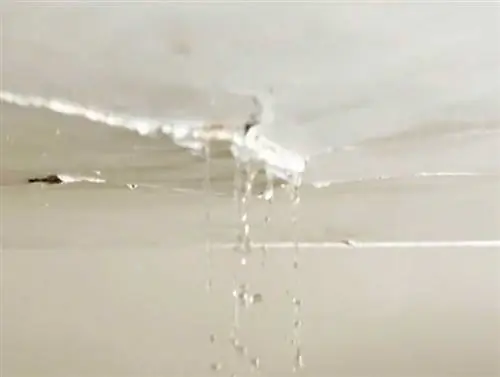 7 признаков скрытой протечки воды в ванной