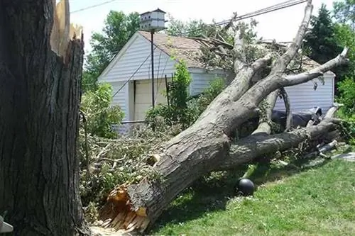 Важные причины, почему стоит нанять реставрационную компанию