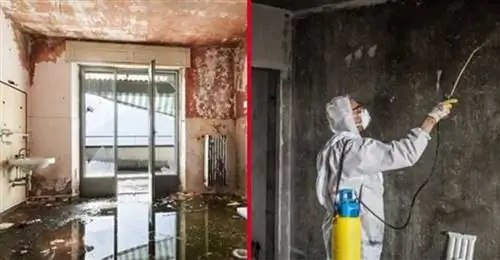 Действуйте быстро после повреждения вашего дома водой из-за пожара - восстановление