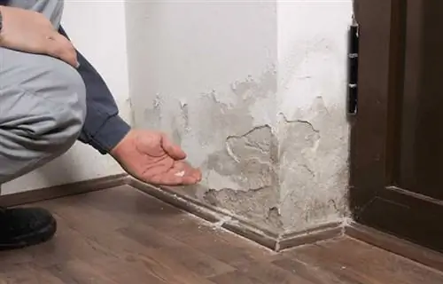 Зачем проверять свой дом на острове на предмет повреждений от воды?