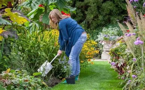 Советы, как поддерживать порядок в доме и саду