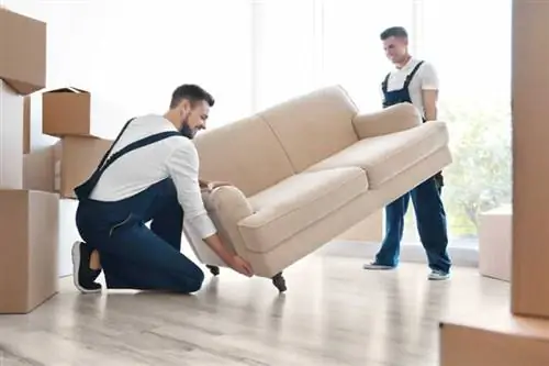 7 советов по выбору подходящего средства для переезда - Movers 7 советов по выбору подходящего средства для переезда - Movers