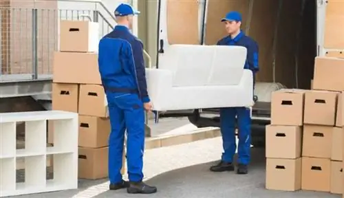 Пять вещей, на которые следует обратить внимание специалисту по удалению - специалисты по удалению