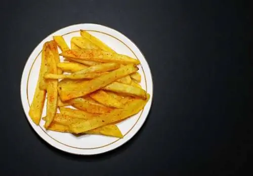 Как выбрать фритюрницу Top Air Fryer для ваших конкретных потребностей - картофель фри