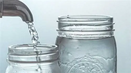 Вот что можно сделать, если у вас жесткая вода - вода