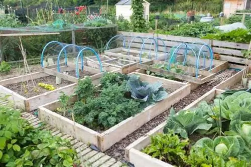 10 простых советов по садоводству, на которые можно положиться 10 простых советов по садоводству, на которые можно положиться