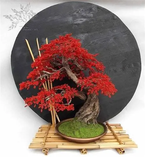 12 увлекательных идей домашнего декора в японском стиле - дерево бонсай