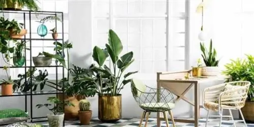 Повышение качества воздуха в помещении: 5 основных инструментов