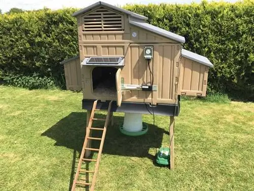 Зачем нужна автоматическая дверь для курятника - курятник