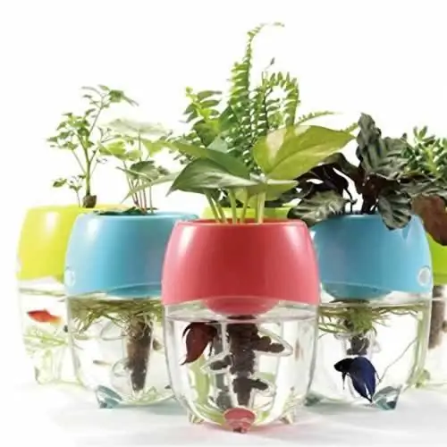 Идеи ландшафтного дизайна о том, как оформить свой сад - водный сад