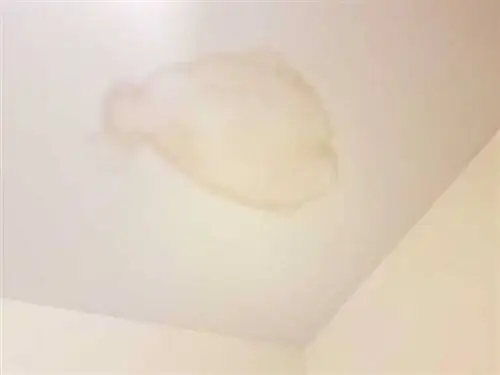 Как узнать, что ваши трубы протекают - мокрое место