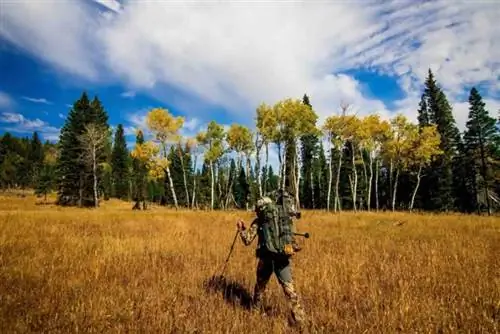 Планирование охоты своими руками - охота