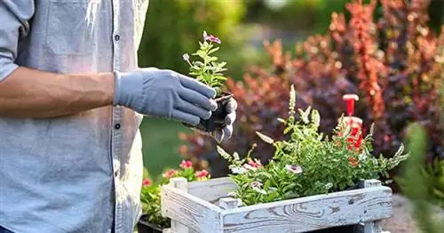 Как выбрать лучшие садовые инструменты - посадка