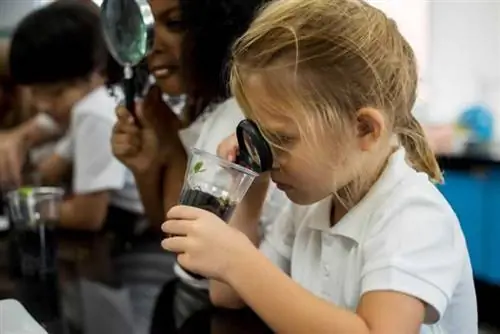 5 интересных способов улучшить почву на лужайке или в саду - проверка уровня pH