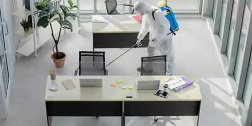 Важность службы борьбы с вредителями для офиса – причины выбрать профессиональные решения для борьбы с вредителями
