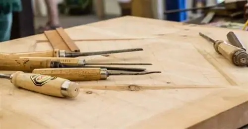 Лучшие колледжи США со степенью деревообработки