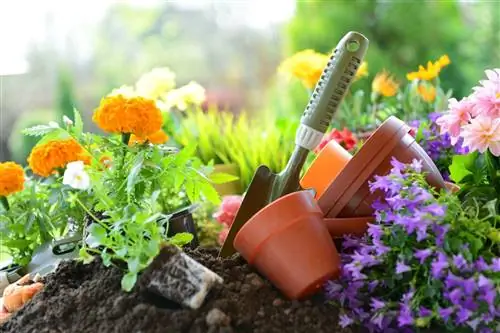 Bob Vila’s 10 &8220;Must Do&8221; Проекты на май