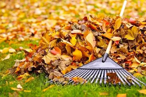 Bob Vila Radio: Советы по рейкингу