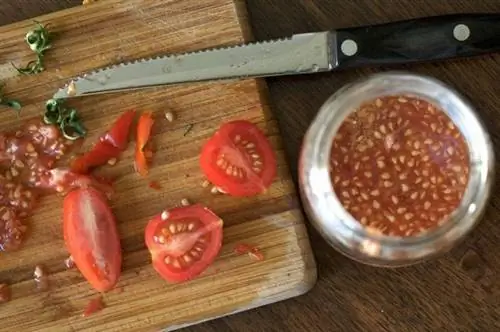 Сохранение семян