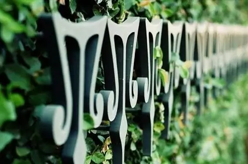 Ландшафтный дизайн для конфиденциальности