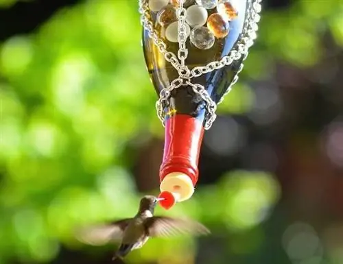 Бутылка вина