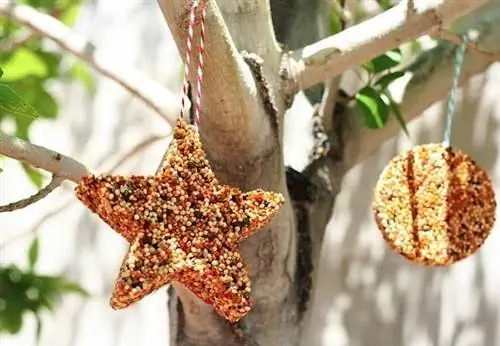 Кормушка для птиц своими руками - формочки для печенья