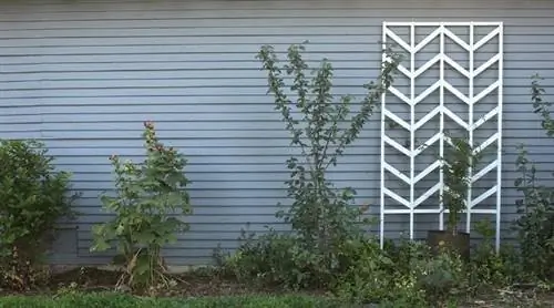 Шпалера своими руками - шеврон
