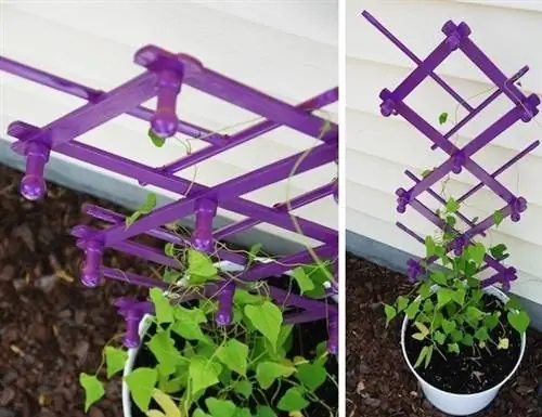 Шпалера своими руками - окрашенная